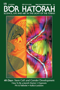 B'Or Hatorah Vol. 19